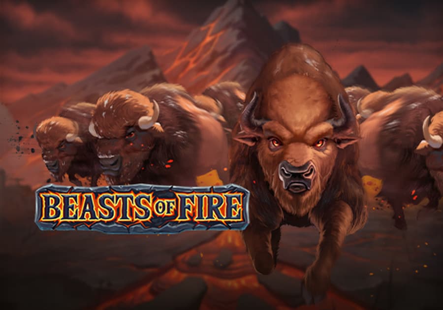 Official Beasts of Fire game cover artwork